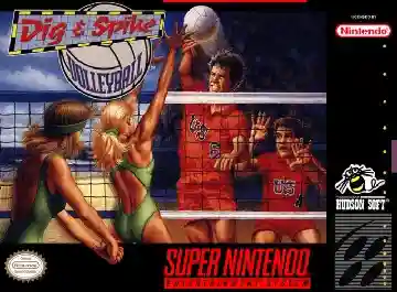 Dig & Spike Volleyball (USA)